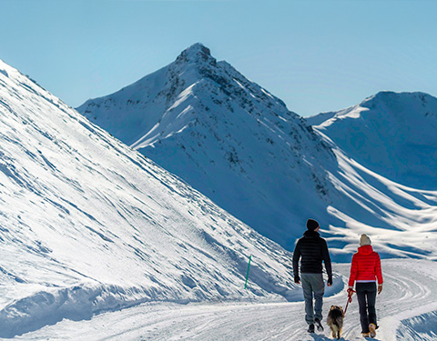 Passeggiata sulla Montagna Innevata di Livigno