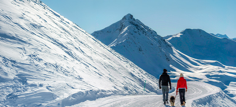 Passeggiata sulla Montagna Innevata di Livigno