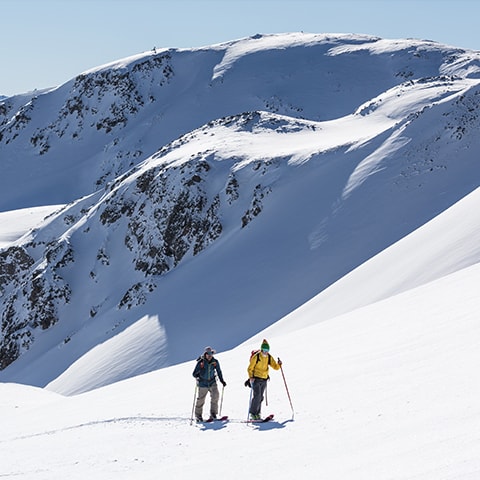 Live Info Livigno