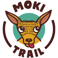Moki Trail