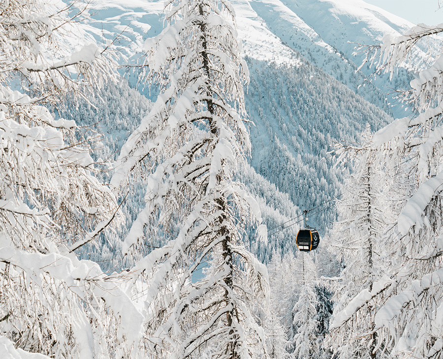 Bosco Innevato di Livigno con Cabina di Carosello 3000