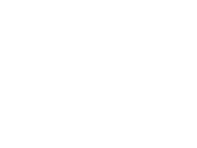 Nino Negri