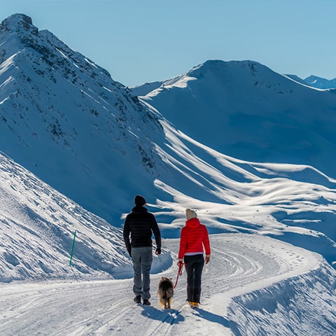 Passeggiata sulle Neve a Livigno