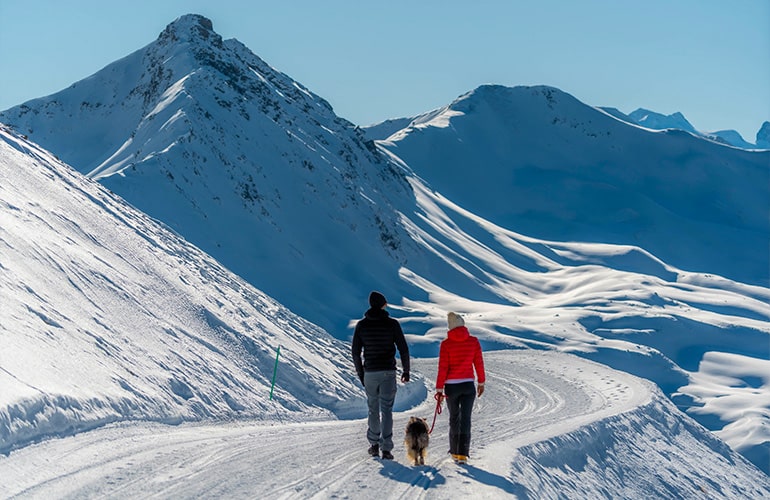 Easy Walk on The Mountain of Livigno Snow