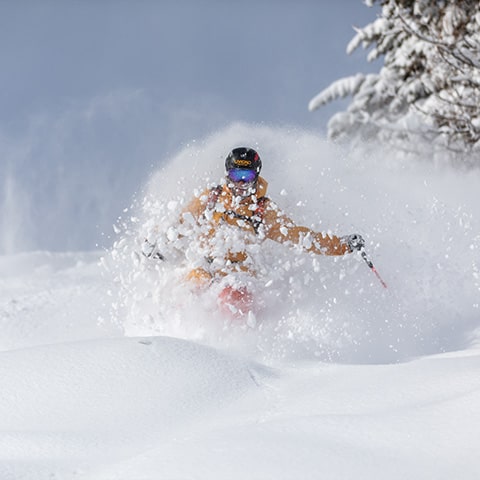 Powder Alert Livigno