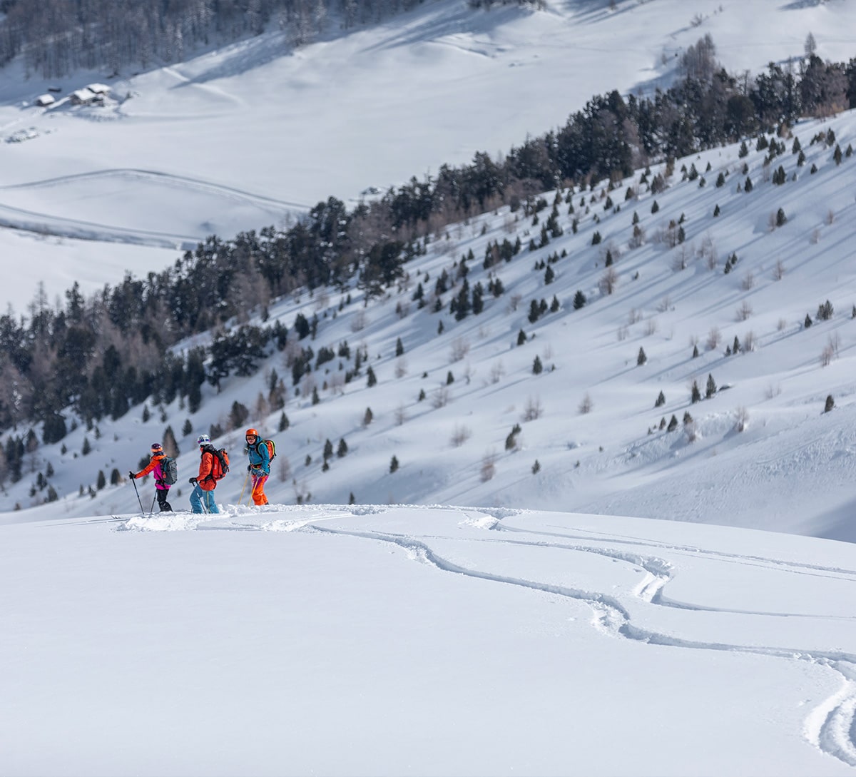 Escursioni Freeride Livigno