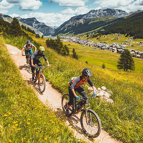 Sentieri MTB Panoramica - Carosello 3000 Livigno