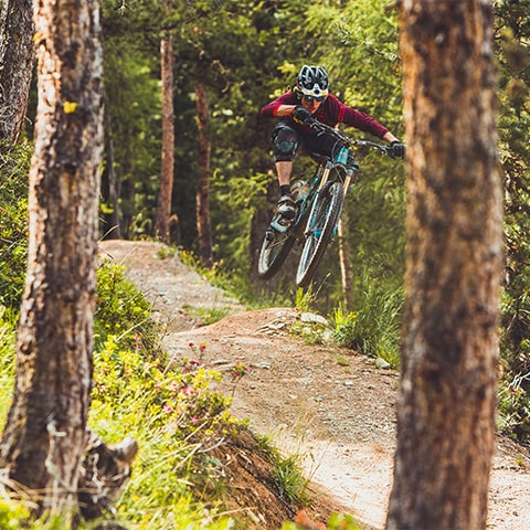 Mountain biker in the forests of Carosello 3000