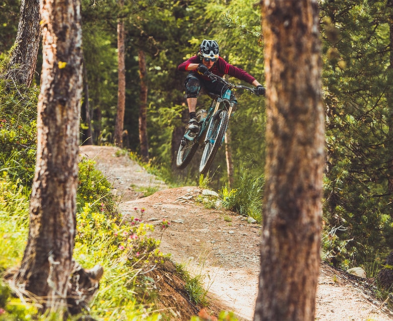 Mountain biker in the forests of Carosello 3000