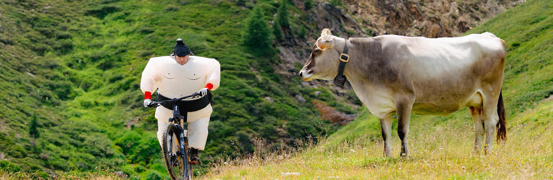 Biker in montagna con una mucca a Carosello 3000