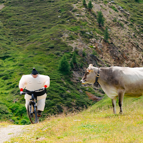 Biker in montagna con una mucca a Carosello 3000