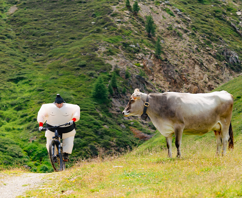 Mountain biker with a cow at Carosello 3000