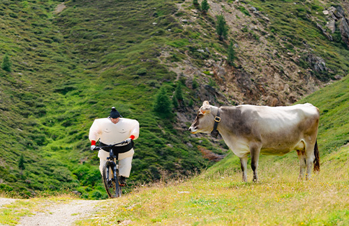 Biker in montagna con una mucca a Carosello 3000