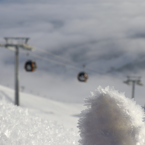 Webcam Livigno